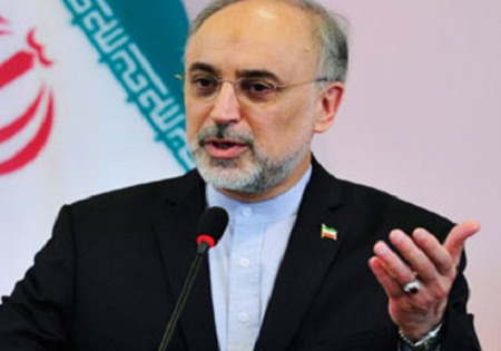 صالحی: ایران و ۱+۵ در وین تقریبا به تفاهم کامل رسیده بودند/ ۲۰ فروردین خبری خوش درباره سوخت نیروگاه بوشهر
