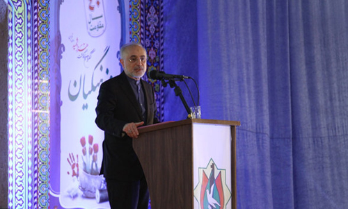 صالحي: الهدف الأول للاستكبار العالمي يتثمل في عودة إيران إلى الفلك السياسي للهيمنة