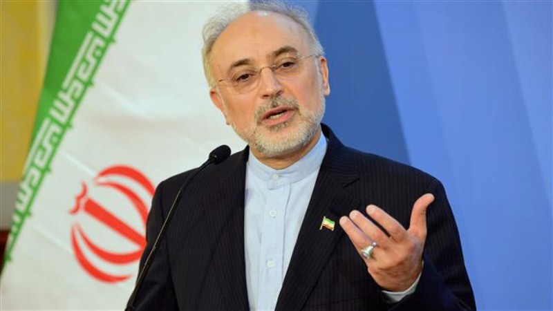 Iran unveils major nuclear achievements: AEOI Chief