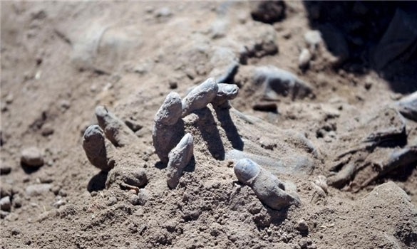 Almost 900 Bodies Found in Mass Graves in Northeastern Syria