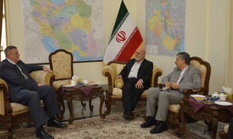 Iran to Spare No Effort to Help Boost Stability in Iraq: Envoy