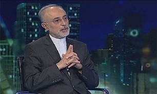 Salehi says Iran to build several yellowcake factories in Yazd