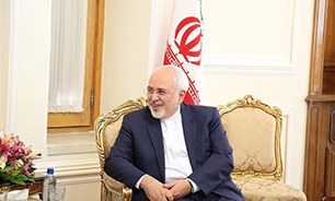 دیدار وزیر خارجه ایران و رئیس جمهور فنلاند