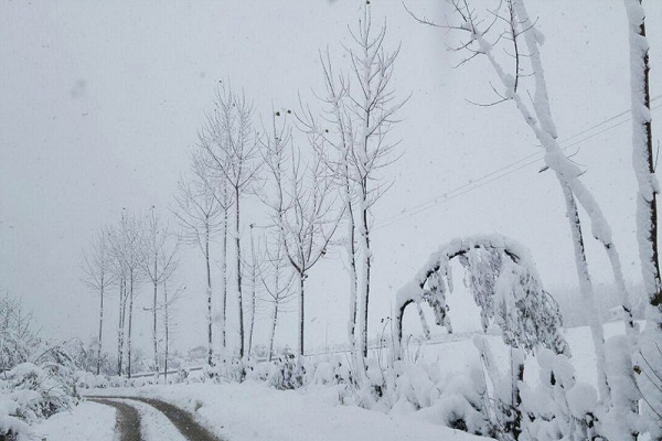 تصاویر/زیبایی های برف پاییزی در مازندران
