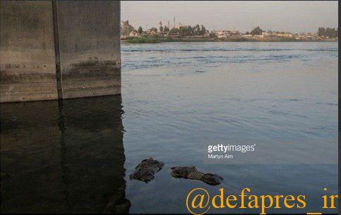عکس/ جنازه دو داعشی در رودخانه موصل