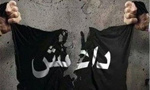 کشته شدن ۲۸ داعشی طی ۲ عملیات جداگانه در استان «الانبار»
