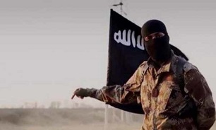 اینترپل لیست «داعشی های در راه اروپا» را منتشر کرد