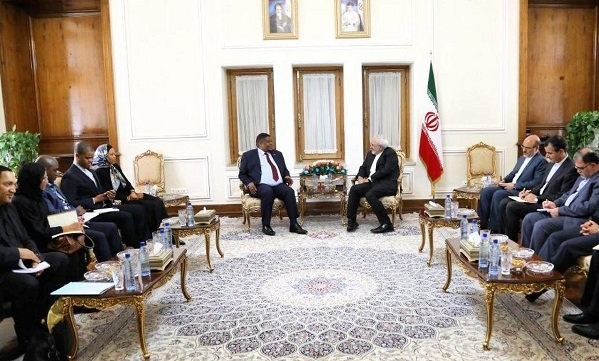 ایران و آفریقای جنوبی همکاری های خود را افزایش دهند