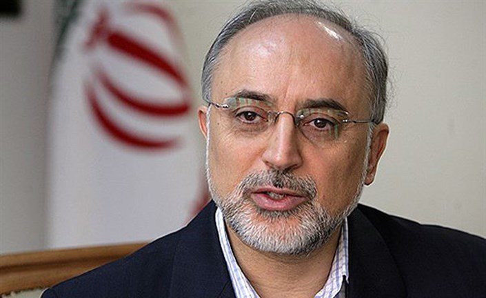 علی‌اکبر صالحی در سمت ریاست سازمان انرژی اتمی ابقا شد