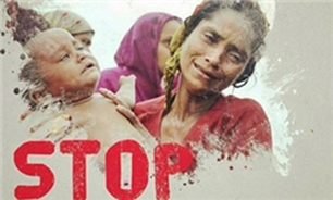 بسته‌های اقدام دیپلماتیک اضطراری برای کمک به مسلمانان میانمار طراحی شود