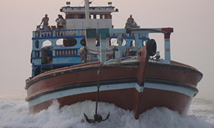 کشف 70 رأس دام قاچاق در خلیج فارس