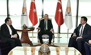 «واعظی» با رئیس جمهور ترکیه دیدار و گفتگو کرد