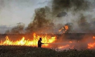 ۱۷ آتش‌سوزی در سرزمین‌های اشغالی به سبب بادبادک‌های آتشین