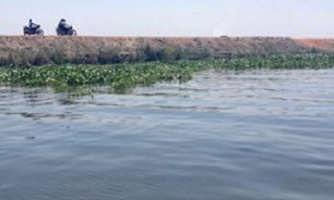 تکذیب فروش دریاچه مصر به یک کشور عربی