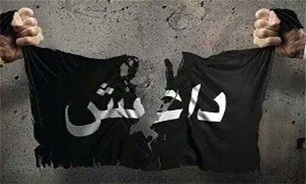 11 عنصر داعش در ولایت «ننگرهار» بازداشت شدند