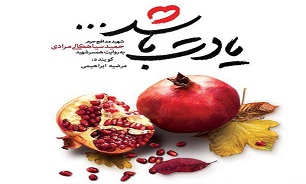 رونمایی نمایش رادیویی کتاب «یادت باشد» در بوشهر