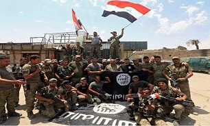 بازداشت مسئول نظامی داعش توسط الحشدالشعبی