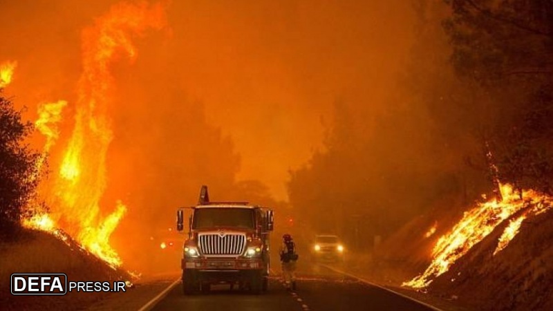 امریکہ: کیلی فورنیا میں آگ، ٹرمپ انتظامیہ کی لاپرواہی پر احتجاج