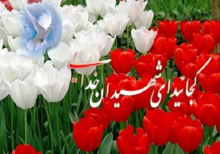 پیام همسر شهید مجید مهدوی به مناسبت هفتمین روز شهادت همسرش