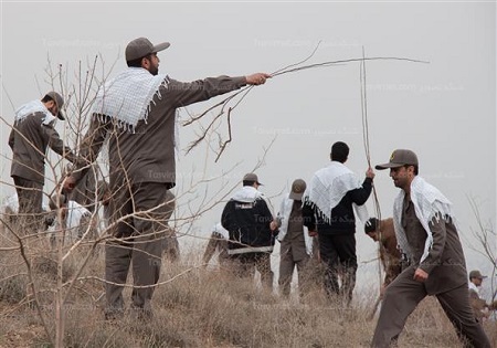 کاشت درخت به یاد شهدا توسط جهادگران