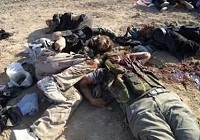 ۱۷ تروریست عضو گروهک داعش در فلوجه عراق به هلاکت رسیدند