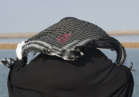 تصاویر/طلائیه(2)