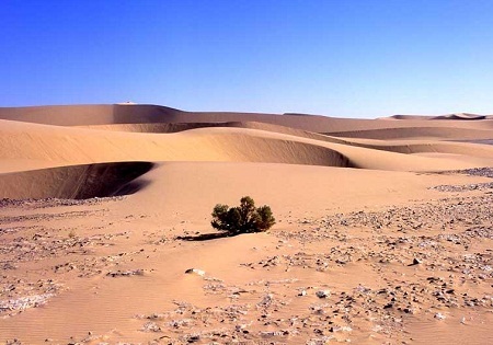 300 هزار هکتار بیابان جدید ایجاد شد