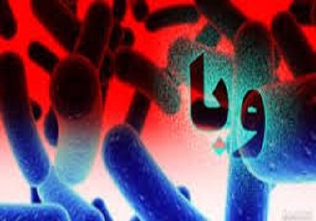 اولین بیمار مبتلا به وبا در پایتخت شناسایی شد