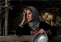 عوامل فیلم «شیار 143» از مادران شهدا تقدیر می کنند