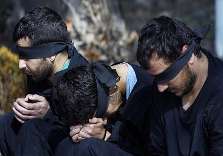 کشف نیم تن چوب بلوط قاچاق از یک پژو