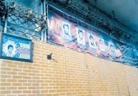 «خانه سبز» سرخ و شاید سفید