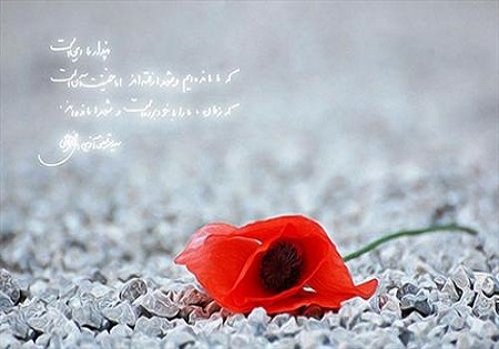 جدّیت «سید حسین» برای یادگیری قرآن
