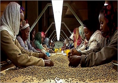 دلایل تبعیض علیه فالاشه‌ها در رژیم صهیونیستی