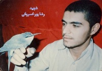 شهیدی که راوی شهادت نزدیکترین دوستان خود شد + عکس