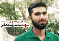 امروز بطور عملیاتی به نابودی اسرائیل نزدیک هستیم/شهید دهقان در اوج تهاجم فرهنگی دشمن به سوریه رفت