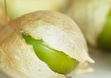 اگر قصد شروع رژیم لاغری را دارید بخوانید