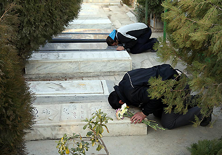 تصاویر/ مهمانی لاله ها