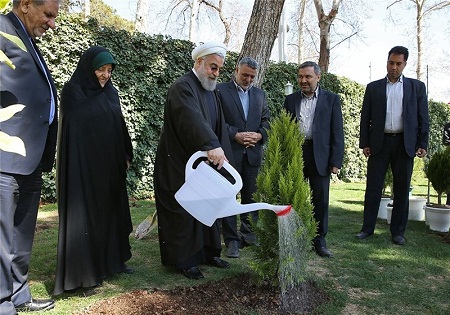 برخورد قاطع با آسیب زنندگان به جنگل‌ها و طبیعت ضروری است