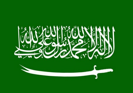 اعتراف به نقشه عربستان برای گسترش تروریسم در جنوب یمن