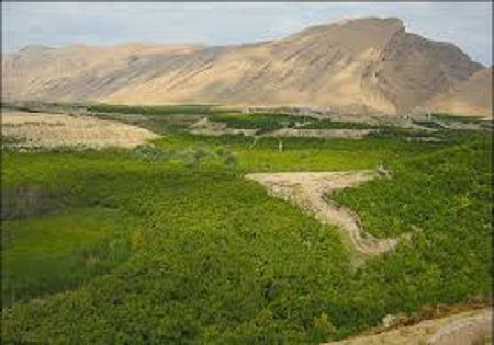 هدیه رهبر انقلاب به روستانشینان کردستان