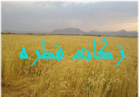 میزان زکات فطریه در زنجان اعلام شد