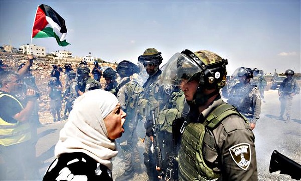 الطريق الأوحد لحل القضية الفلسطينية هو إنهاء الاحتلال