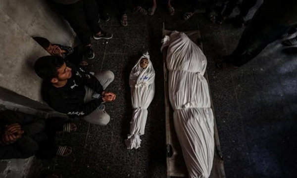 مقررة أوروبية: إسرائيل تمارس إبادة جماعية وتطهيرًا عرقيًا في غزة