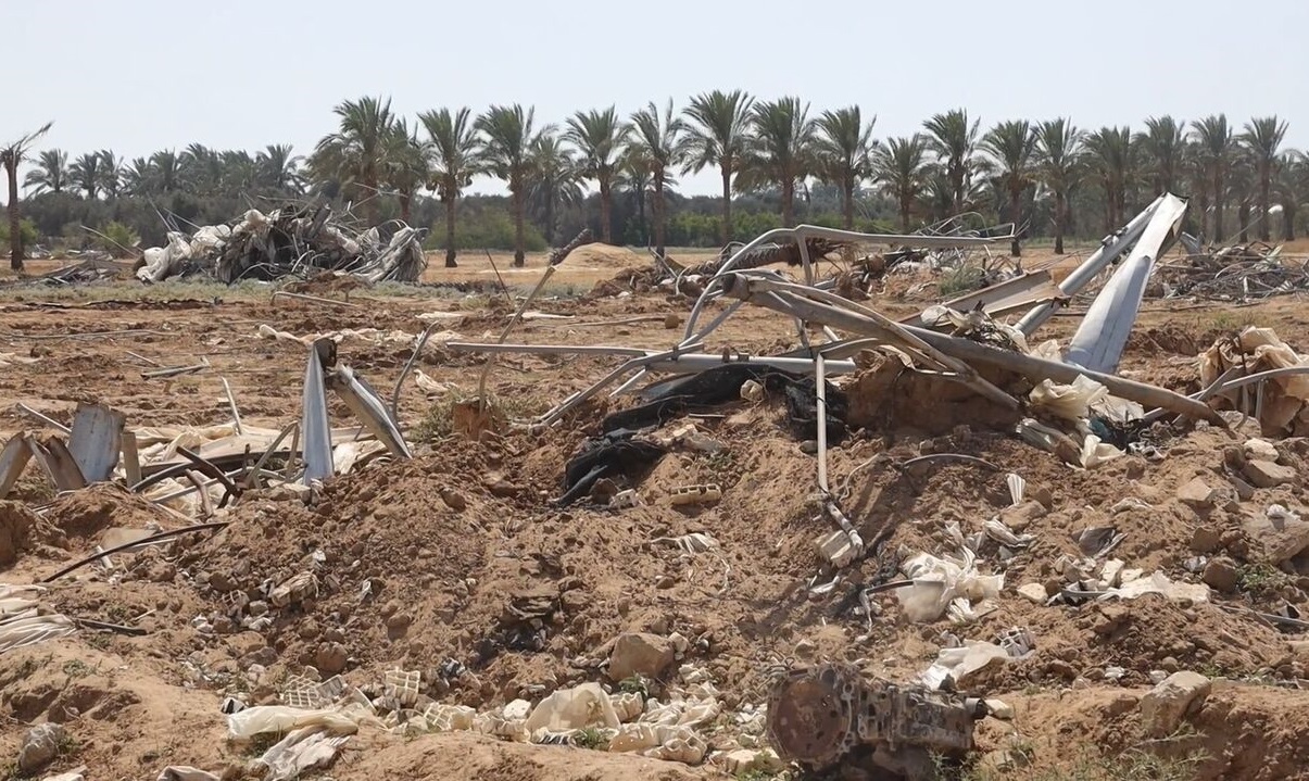 منظمة الفاو: 4.6 بالمئة فقط من أراضي قطاع غزة صالحة للزراعة