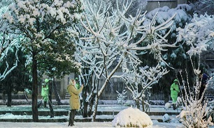 Heavy snow in Tehran shuts schools, airports