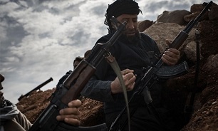Interpol Chief Warns Europe of Daesh 2.0 When Jihadists Serving Minor Sentences Leave Jail