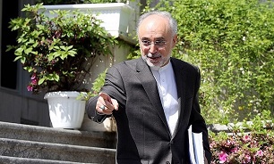Iran Likely to Drop Additional Protocol if JCPOA Abrogated