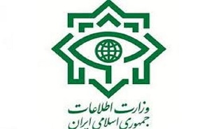 Security forces capture 13 ISIL terrorists in west Iran