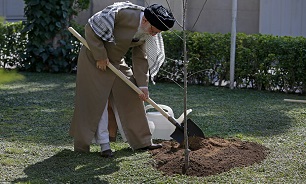 Leader plants saplings to highlight natural resources
