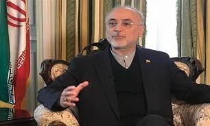 Nuclear Chief Suggests Solution to Iran-US Conflicts